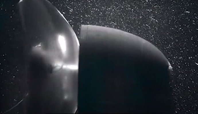 Aspecto de la medusa biónica creada en Caltech