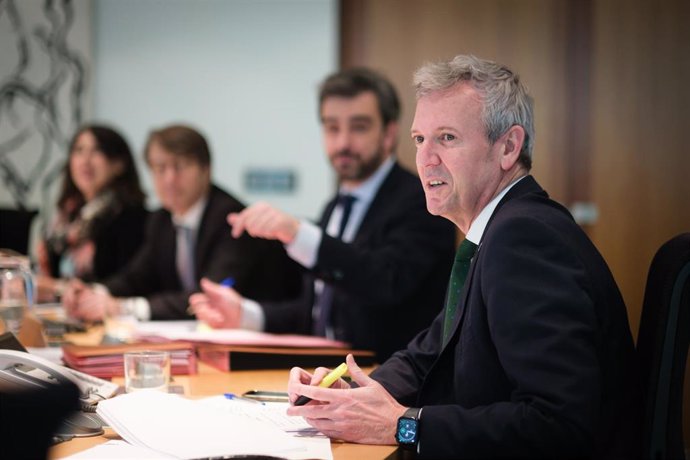 O presidente da Xunta en funcións, Alfonso Rueda, preside a reunión do Consello.