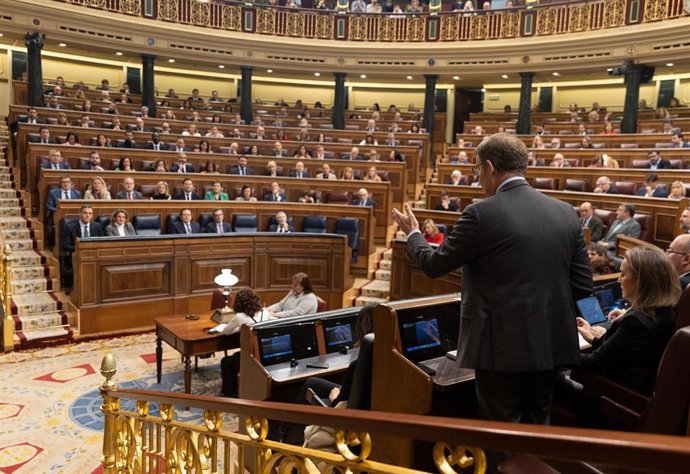 El presidente del PP, Alberto Núñez Feijóo, interviene durante una sesión de control al Gobierno, en el Congreso de los Diputados, a 28 de febrero de 2024, en Madrid (España). 