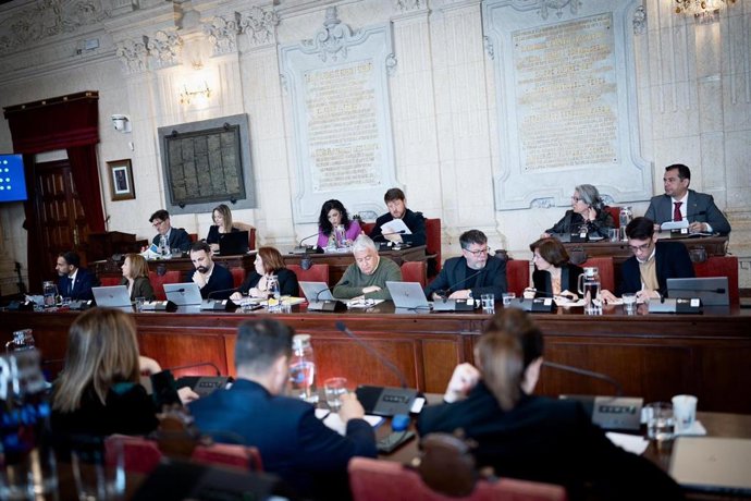 Imagen del pleno del Ayuntamiento de Málaga