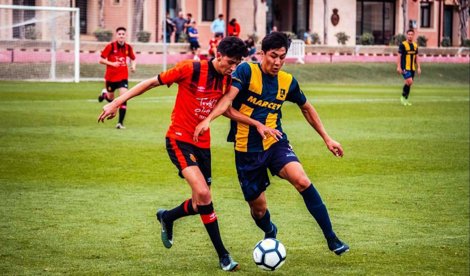 Comunicados Sociedad