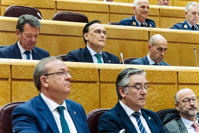 Senadores del PP en la Cámara Alta.