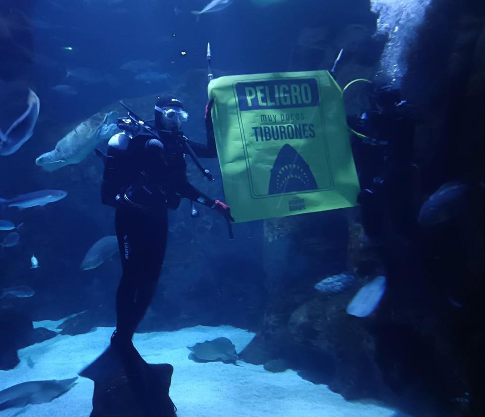 Estreno europeo, en el Bioparc Acuario de Gijón, de la exposición 'Tiburones', perteneciente al Museo de Historia Natural de Nueva York.