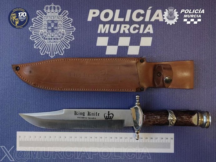 Machete de 22 centímetros de hoja intervenido