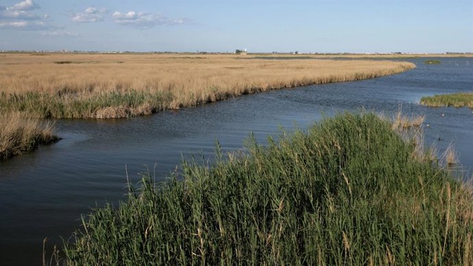 Archivo - Vista del Delta de l'Ebre (Tarragona)