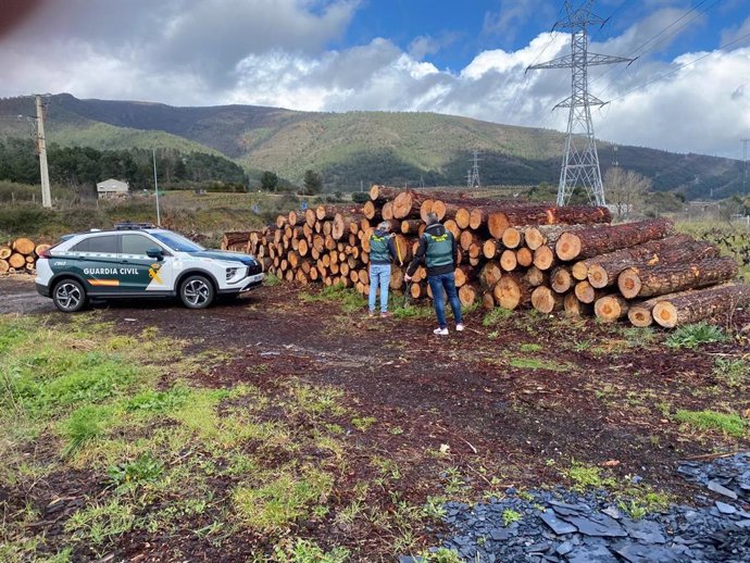 La Guardia Civil desarticula un grupo dedicado a talar árboles en fincas ajenas para su venta en A Rúa (Ourense)