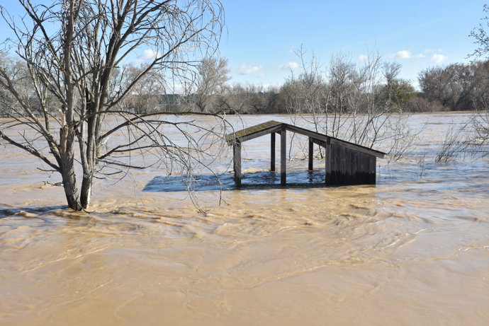 Una caseta inundada con motivo de la crecida del Río Ebro a su paso por Novillas, a 29 de febrero de 2024, en Novillas, Zaragoza, Aragón (España).