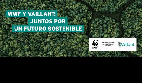 Comunicados Sociedad