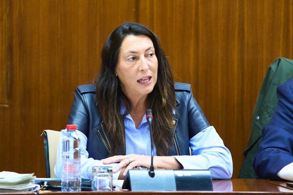 La consejera de Inclusión Social, Juventud, Familias e Igualdad, Loles López, en comisión parlamentaria