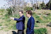 Carabante pide "coherencia" a la "izquierda ecológica" sobre las talas y que trate a todas "del mismo modo"