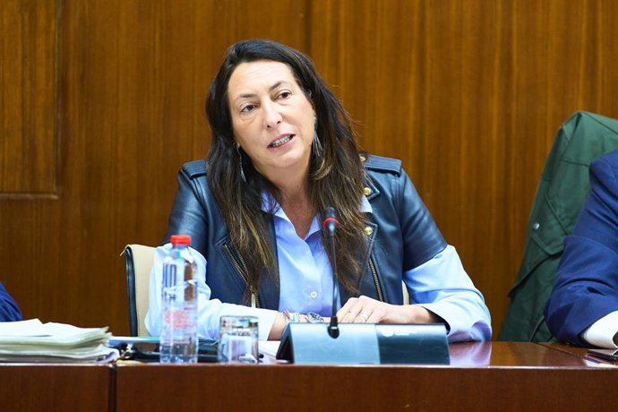 La consejera de Inclusión Social, Juventud, Familias e Igualdad de la Junta, Loles López, en comisión parlamentaria