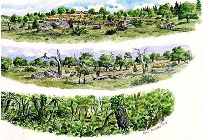 Reconstrucción artística que ilustra los cambios típicos del paisaje desde la época de los primeros humanos (panel inferior) hasta la actualidad (panel superior).