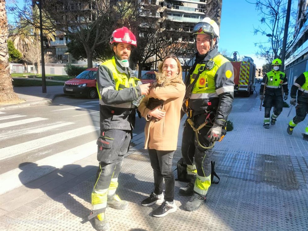 Bomberos rescatan con vida a un gato ocho días después del incendio de dos edificios de Campanar