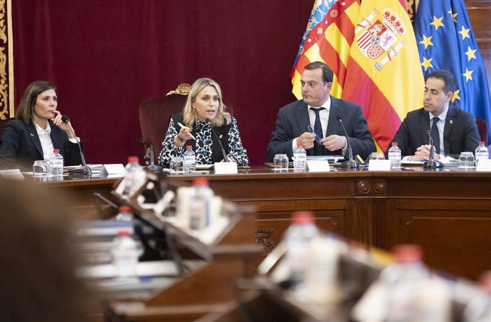 Pleno de la Diputación