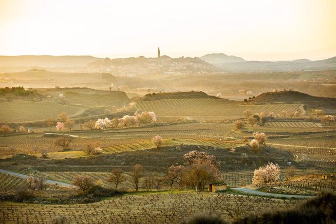 El Consejo Regulador celebra el punto de inflexión alcanzado en la protección del paisaje de Rioja