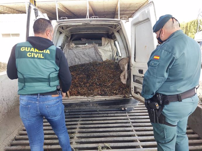 Agentes de la Guardia Civil.