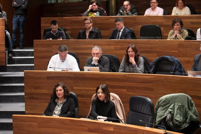 La ministra Sira Rego y otros representantes públicos de IU en la Interparlamentaria de la formación celebrada en la Junta General del Principado de Asturias
