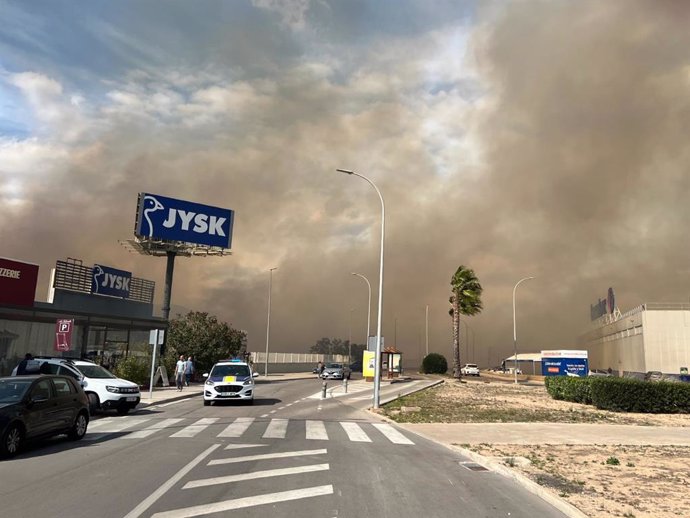Declarado un incendio de cañar en Alzira
