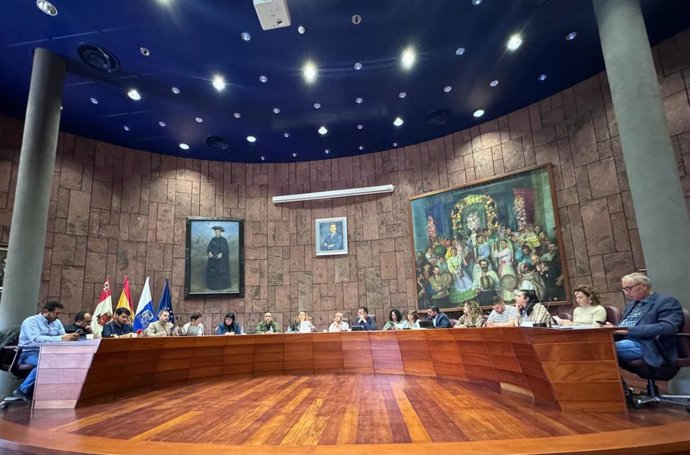 Pleno del Cabildo de La Gomera en el que se aprobó una moción presentada por la Asociación Covid Persistente en Canarias