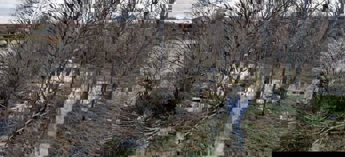 Sotos inundables del río Ebro en Logroño donde también se desarrolla la búsqueda del joven 