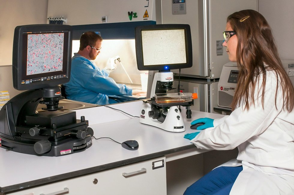Perosnas trabajando en investigación