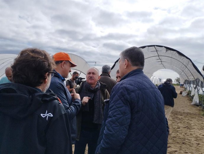 El secretario general de UGT, Pepe Álvarez, durante su visita a una finca de frutos rojos en Palos de la Frontera (Huelva).