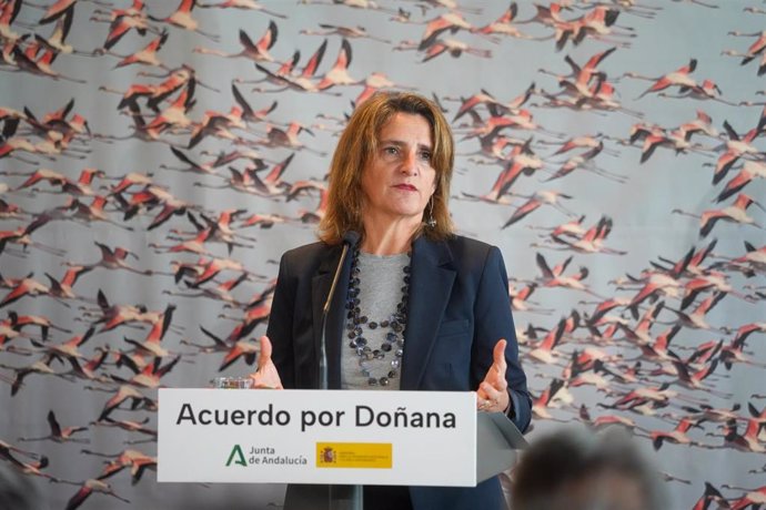 Archivo - La ministra de Transición Ecológica y Reto Demográfico, Teresa Ribera, durante la rueda de prensa tras la firma del acuerdo del protocolo del Parque Nacional de Doñana en noviembre de 2023.