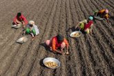 Foto: ONU.- La FAO alerta de que el cambio climático afecta de forma "desproporcionada" a los ingresos de las mujeres rurales