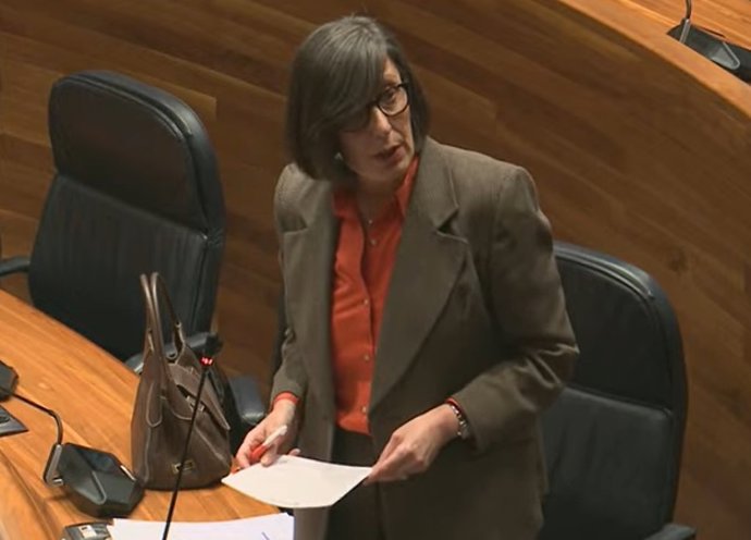 La consejera Nieves Roqueñí