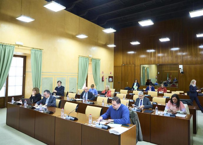 Diputados en la comisión de Justicia, Administración Local y Función Pública del Parlamento andaluz.