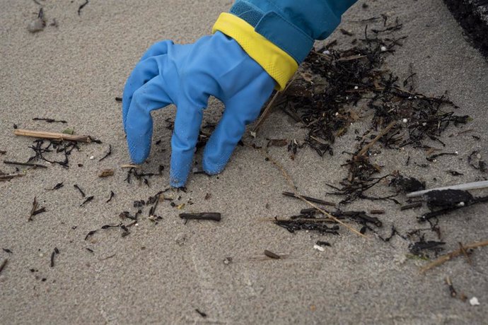 Archivo - Limpieza y recogida de pellets, en la playa de Patos, a 15 de enero de 2024, en Nigrán Pontevedra, Galicia (España). 