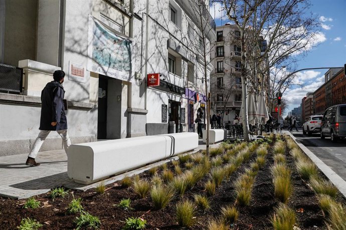 Mejora de entorno del CEIP Claudio Moyano