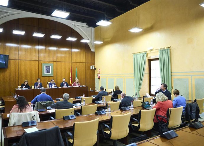 Imagen de este martes de la comparecencia del consejero José Antonio Nieto en comisión.