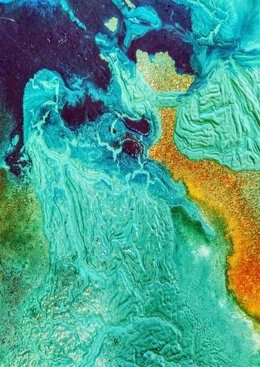 Uno de los lienzos de la artista andaluza Ana Olías