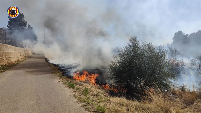Bombers treballen en l'extinció d'un incendi forestal a Real