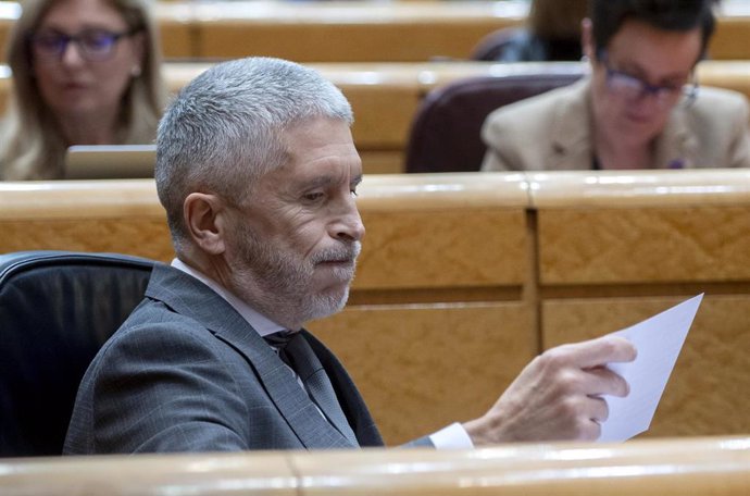 El ministro de Interior, Fernando Grande-Marlaska, interviene durante una sesión de control al Gobierno en el Senado