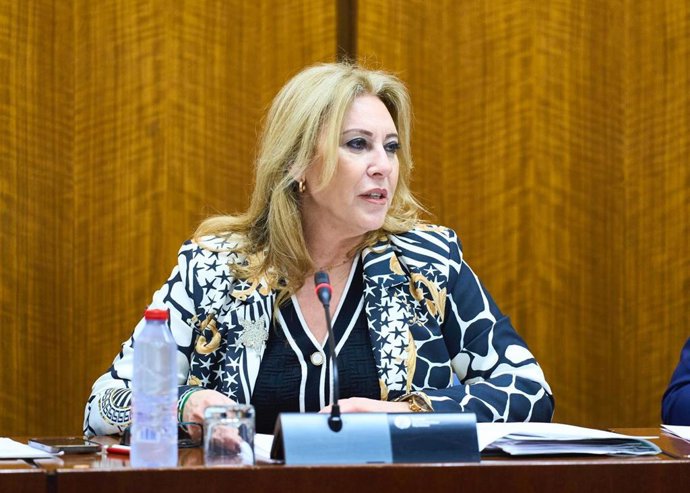 La consejera de Economía, Carolina España, este martes durante su comparecencia parlamentaria.
