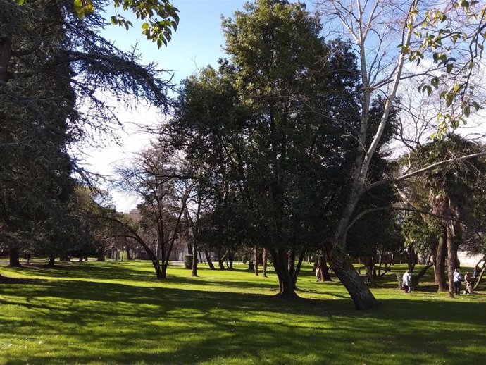 Archivo - Cielos poco nubosos o despejados