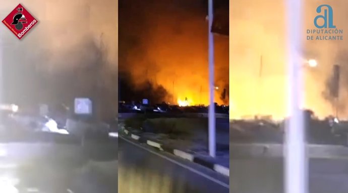 Incendi en palmerar de Torrevella
