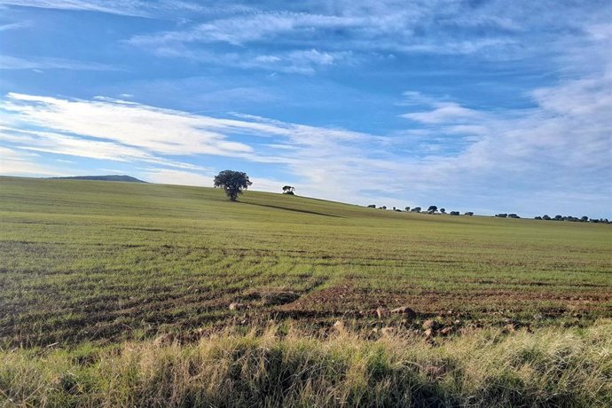 Archivo - Santa Cruz de Mudela.