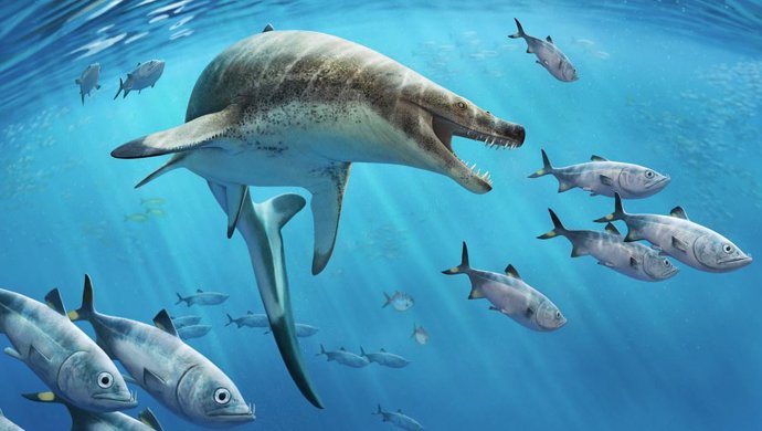 Khinjaria acuta tenía aproximadamente la longitud de una orca (7-8 metros).