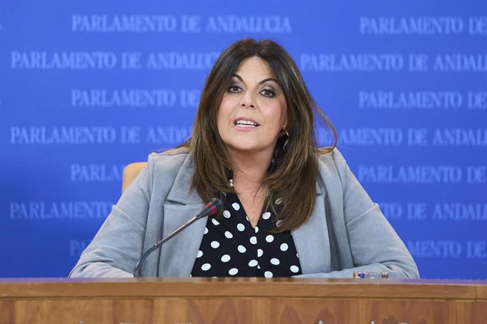 La portavoz del Grupo Parlamentario Socialista, Ángeles Férriz, este miércoles en rueda de prensa. 