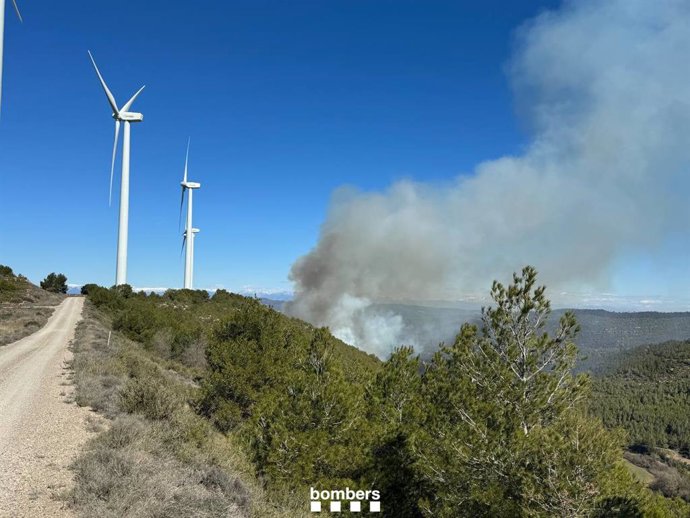 Los Bombers de la Generalitat trabajan en un incendio de vegetación en Rubió (Barcelona) con 16 dotaciones