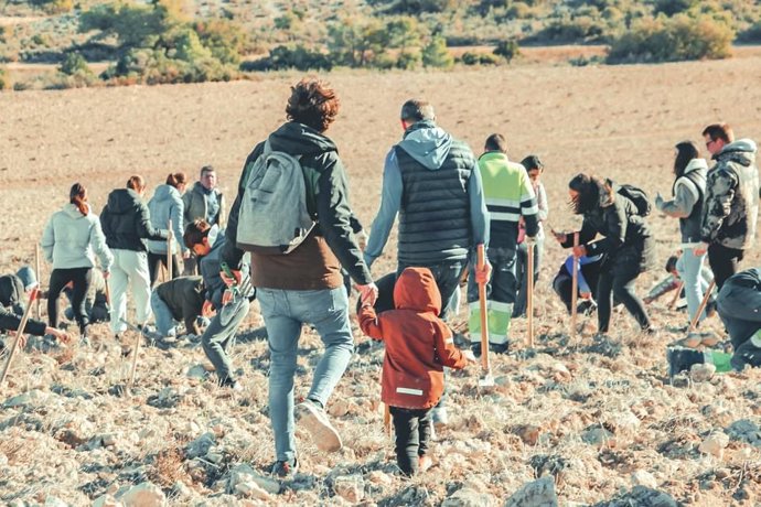 El Bosque de los Zaragozanos, finalista de los Premios de la Nueva Bauhaus que organiza la Comisión Europea