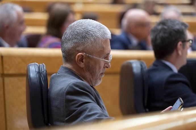 El ministro de Interior, Fernando Grande-Marlaska, durante una sesión de control al Gobierno en el Senado