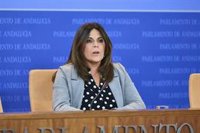 PSOE-A dice que PP "fulminó" una comisión sobre contratos sanitarios y "si no da información algo tiene que ocultar"