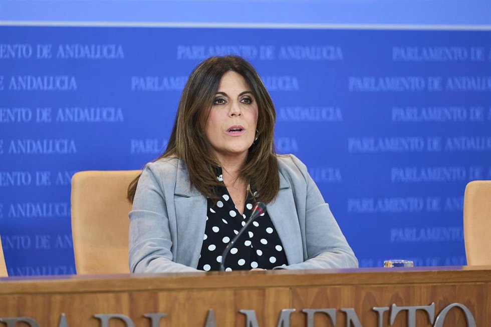 La portavoz del Grupo Socialista, Ángeles Férriz, este miércoles en rueda de prensa.