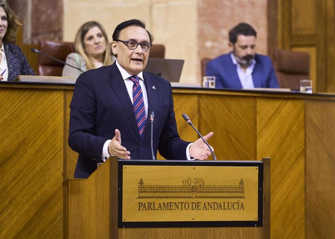 El consejero de Universidad, José Carlos Gómez Villamandos, este miércoles durante su comparecencia en el Pleno del Parlamento.