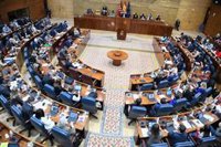 La Asamblea acoge hoy un pleno sin Ayuso marcado por el Día de la Mujer y por el debate del 'pin parental'