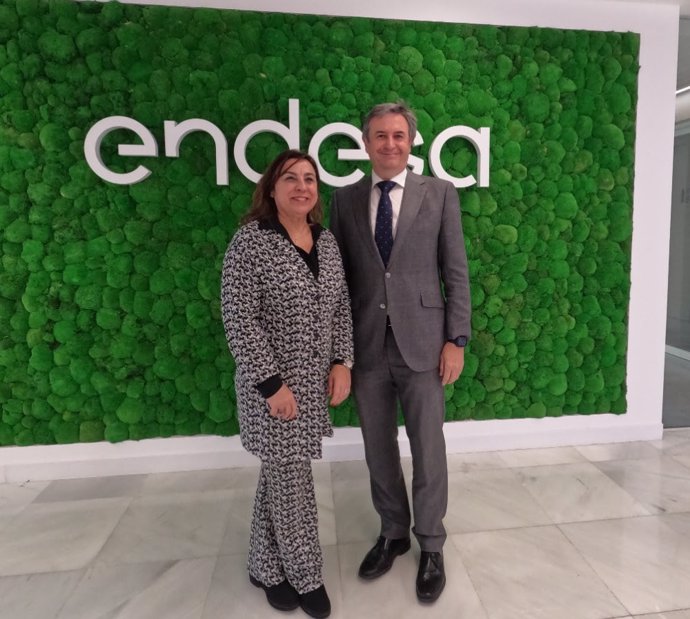 El director general de Endesa en Andalucía, Extremadura, Ceuta y Melilla, Rafael Sánchez Durán, y la presidenta autonómica de Cruz Roja en Andalucía, Rosario García Palacios